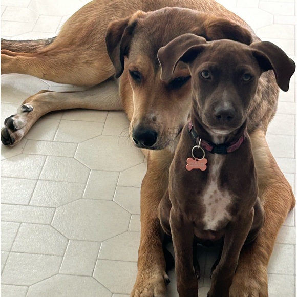 Meet your Posher, Christine - Picture 1 of 1